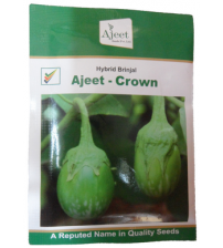 Brinjal Ajeet Crown